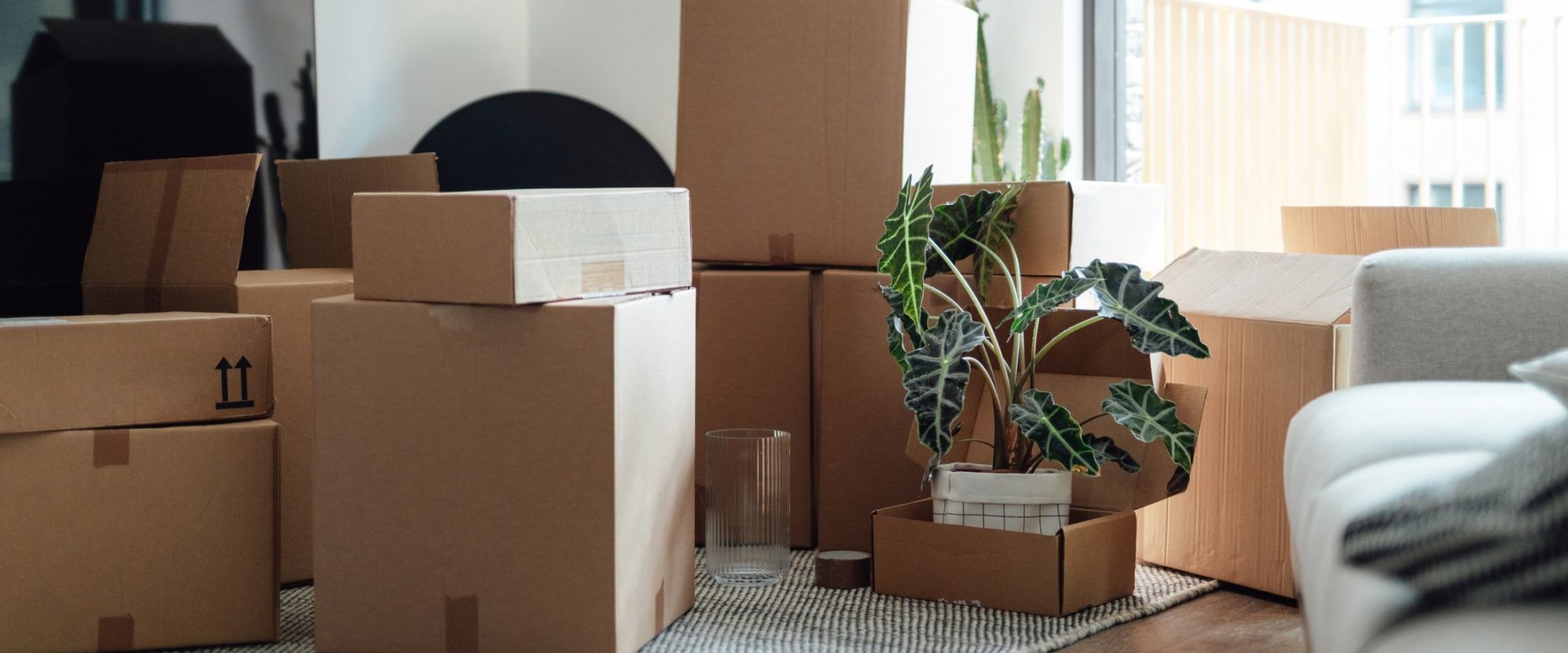 The Best Time of Year to Move: Expert Tips and Advice